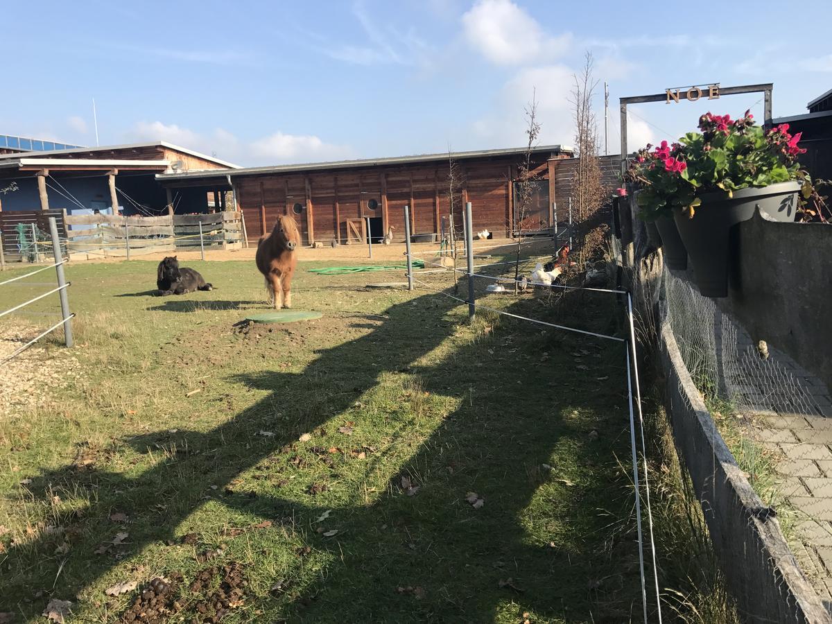 Farma Noe Guest House Brezina  Exterior photo